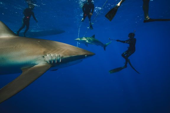 Expert Guides for Your Safety and Comfort