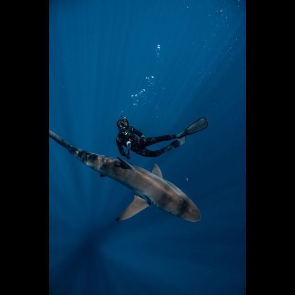 Unique Encounters in a Diverse Ecosystem