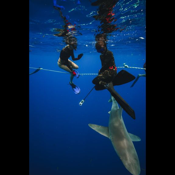 Personalized Experiences Tailored Just for You