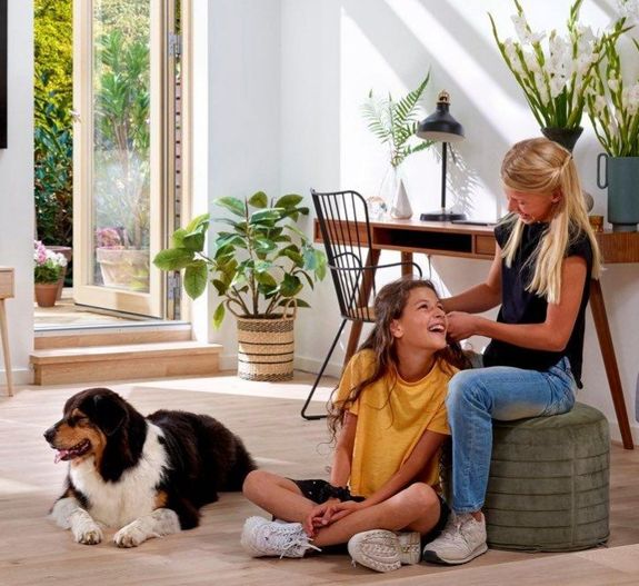 Indoor Air Quality