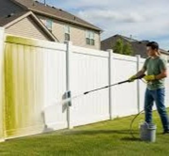 Fencing Cleaning