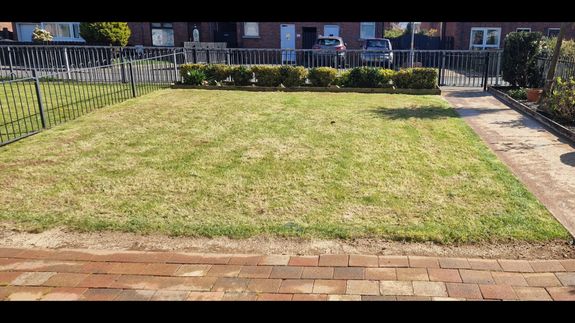 Transform Your Lawn to Thrive.