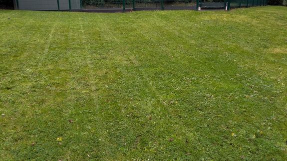 Transform Your Outdoor Space with Expert Care