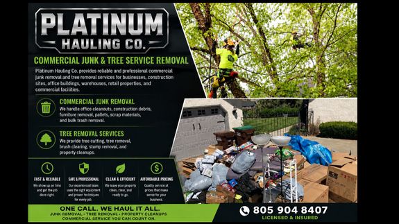 Expert Tree Cutting, Trimming & Removal