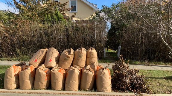 No-fuss yard waste removal in Two Hills, Alberta.