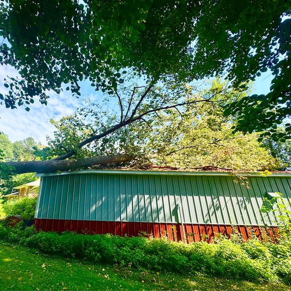 Emergency Tree Services