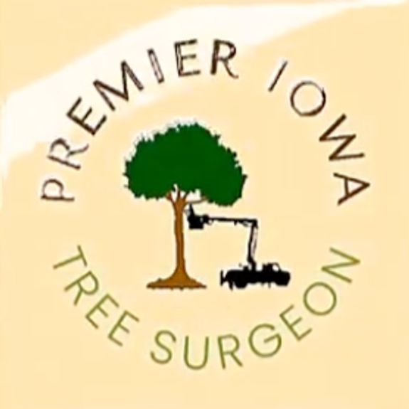 Want to see videos of our tree experts in action? Click the link below to watch YouTube videos