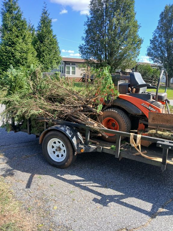 Transforming Spaces, One Clutter at a Time