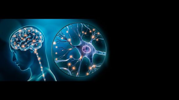 Transformation You Can Feel