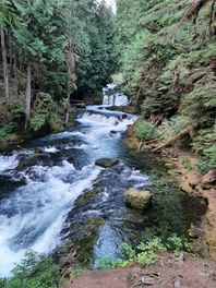 Present Quest Counseling logo