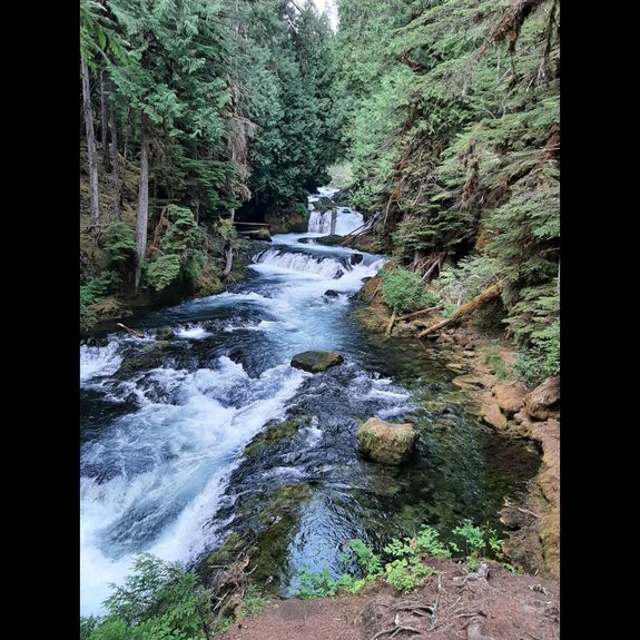 In Person and Online Therapy