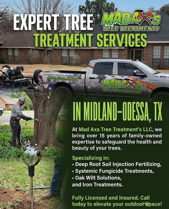 Transform Your Trees in Midland-Odessa Without Breaking the Bank