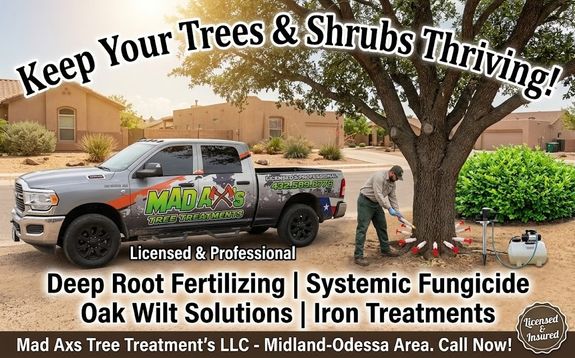 Protect Your Trees, Preserve Your Peace of Mind: Systemic Fungicide Treatments in Midland-Odessa