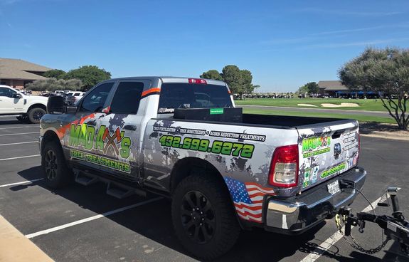 Immediate Relief for Your Trees in Midland-Odessa
