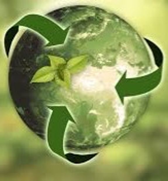 Eco-Friendly Solutions