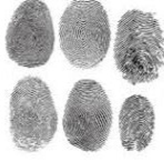 Fingerprinting