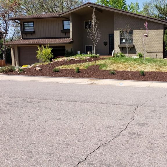 Local Expertise, Exceptional Service