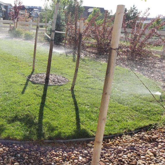 Regular Lawn Maintenance