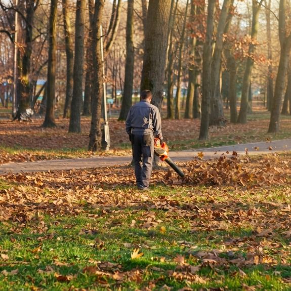 Yard Cleanup & Restoration