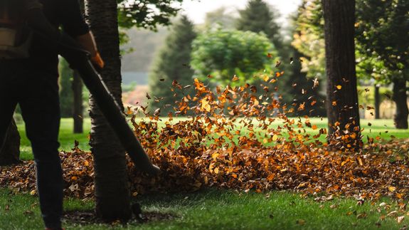 Prioritize your lawn, protect your investment