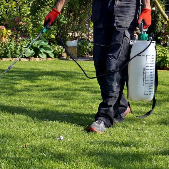 Weed Control & Prevention