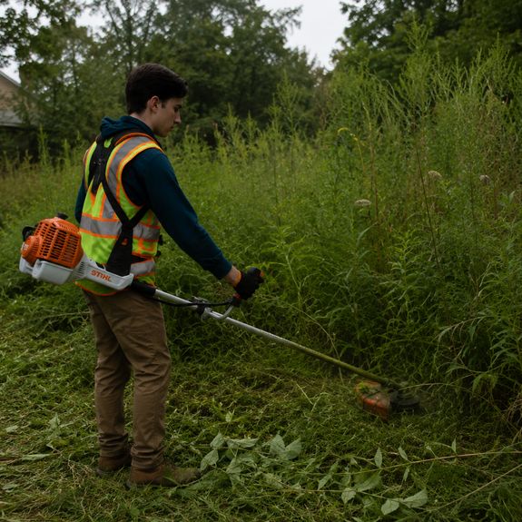Brush & Weed Cleanup 