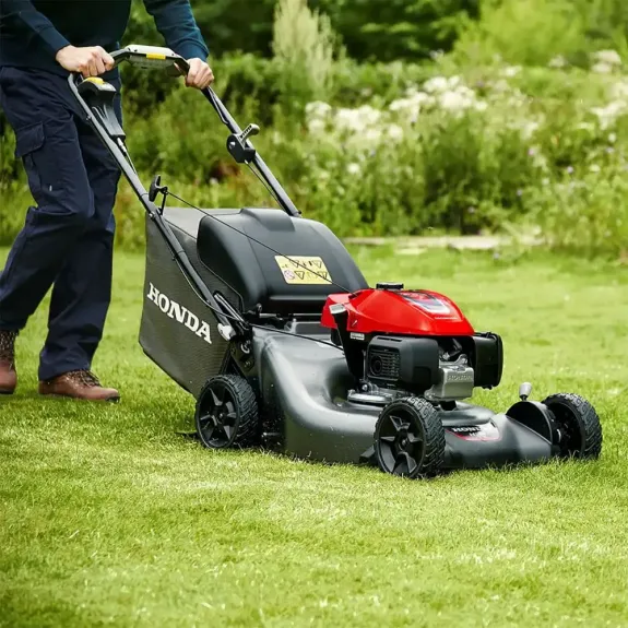 Lawn & Yard Maintenance