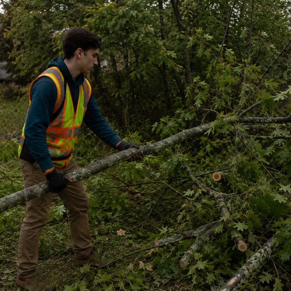 Small Tree & Branch Removal