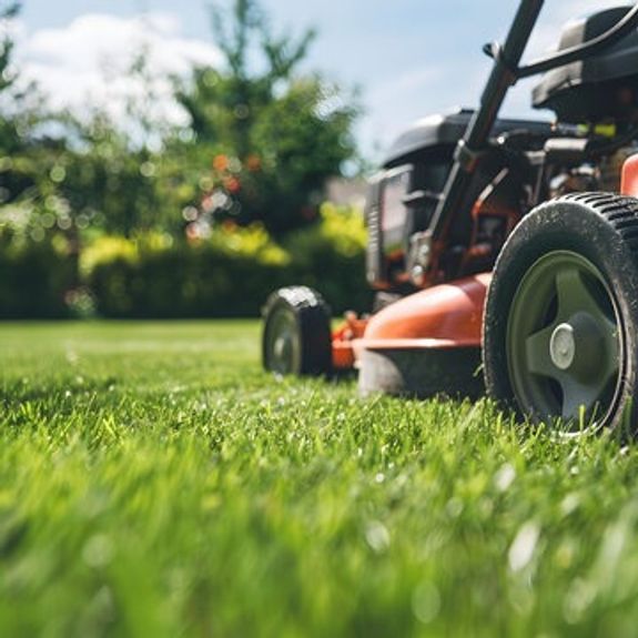 Lawn Mowing & Trimming