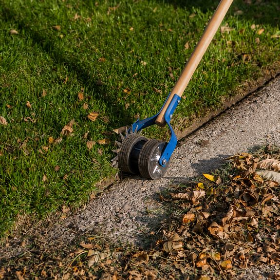 Edging & Border Cleanup