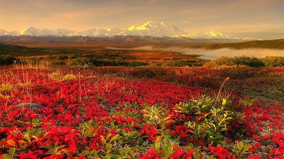 Transform Your Outdoors Without the Hassle in Juneau, AK