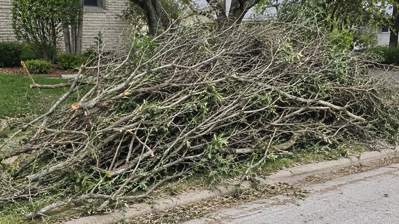 Tackle Your Yard Waste in Georgetown, TX, Effortlessly.
