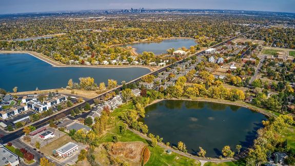 Clear Your Space, Elevate Your Mind in Lakewood, CO