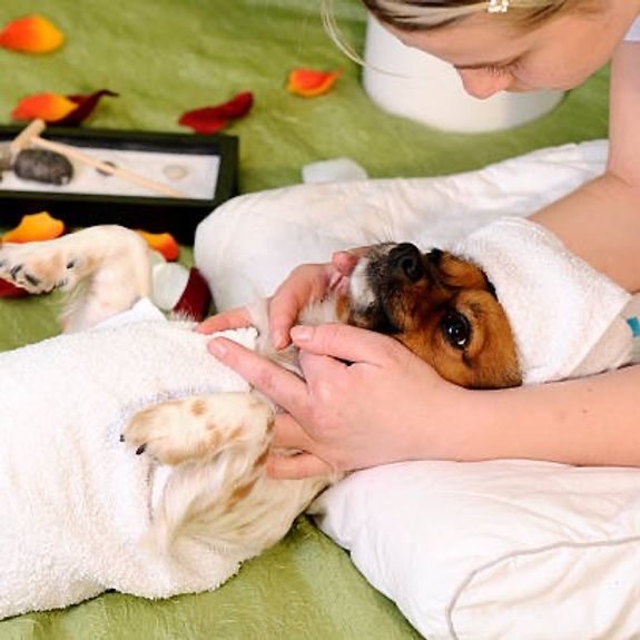 One-on-One Grooming Sessions