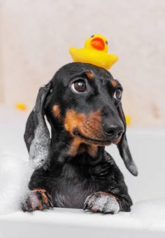 Gentle Bathing