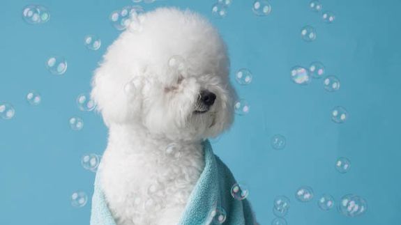 Never Worry About Bath Time Again