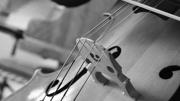 Experienced Artist Management