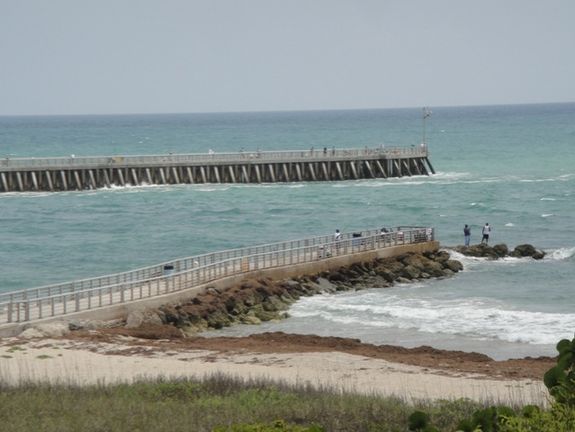 Comprehensive Market Insights