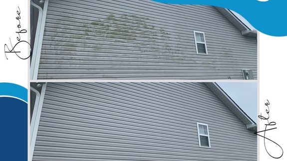 Concentrated man washing automobile at car wash