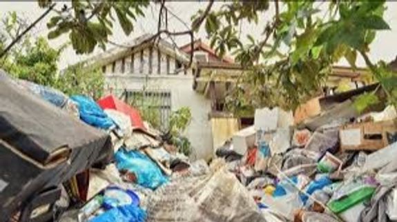 Clutter-Free Spaces, Peace of Mind in Kennewick.