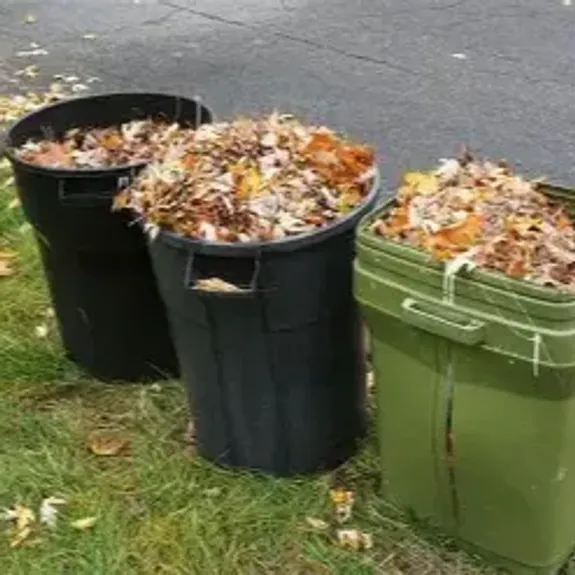 Yard Waste Disposal