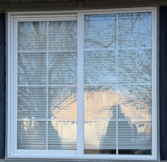 How often should I have my windows cleaned?