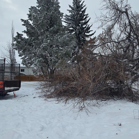 Local Knowledge and Commitment