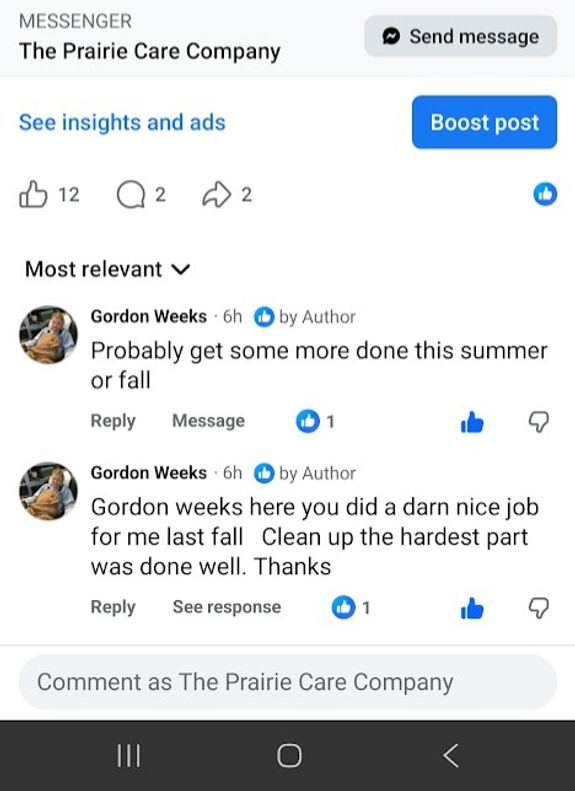 Your Trusted Tree Care Experts in Coronation, AB