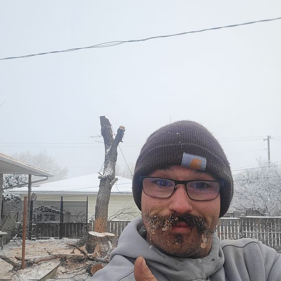 Expert Tree Removal & Trimming Services in Coronation, AB