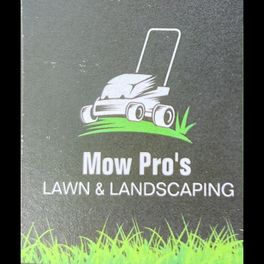Mow pros lawn landscaping  logo