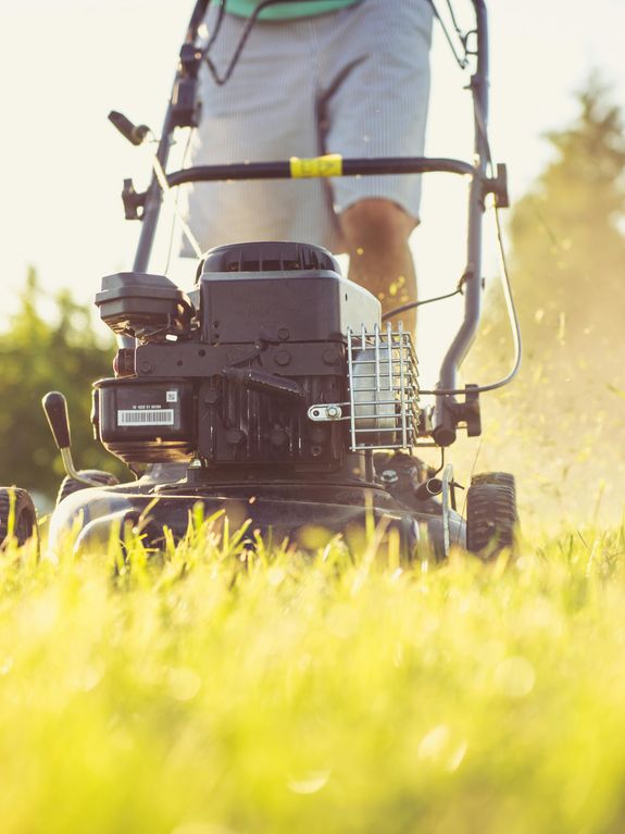 Comprehensive Services Tailored for You