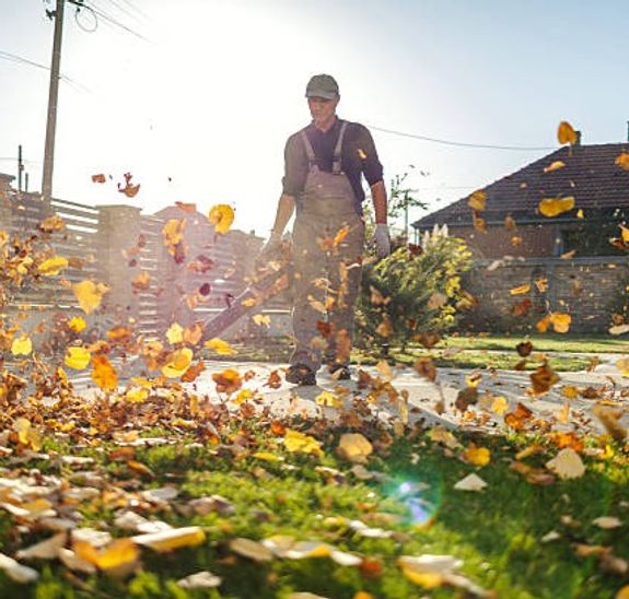 Yard CleanUp