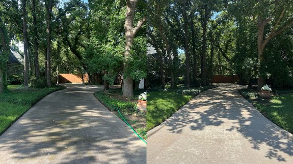 Transform Your Home's Curb Appeal in Argyle, TX