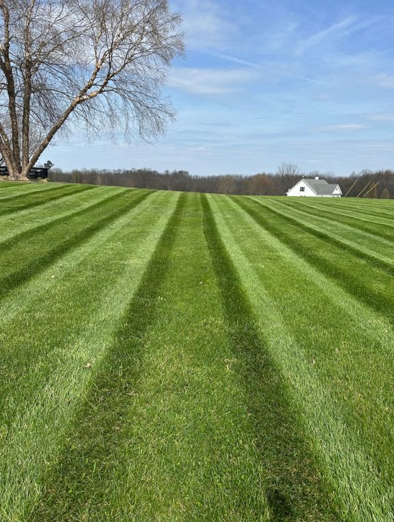 Comprehensive Lawn Maintenance Solutions